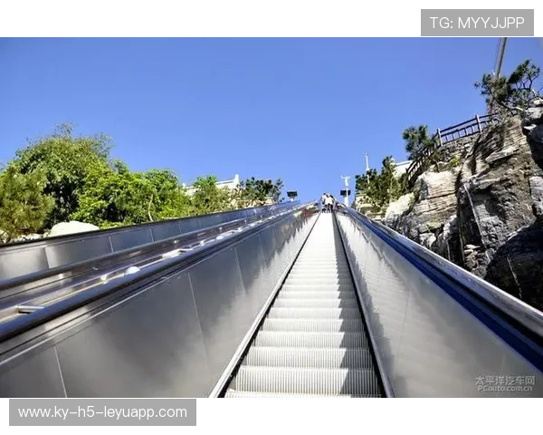 _大桥跑：城市奇观中的极限运动挑战_，下载大桥快跑