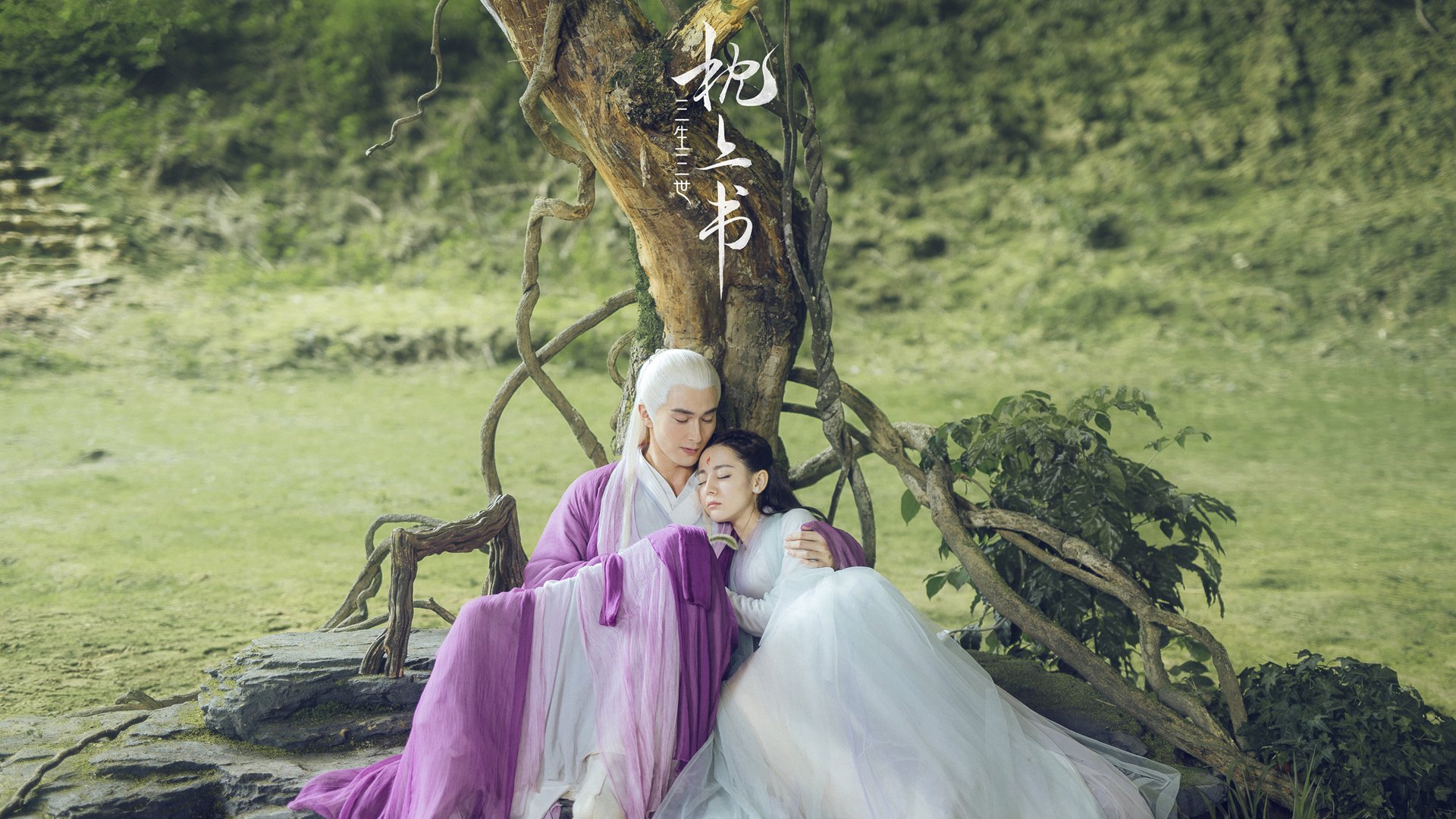 意甲精彩绝伦:战术与技巧的双重盛宴,意甲集锦视频