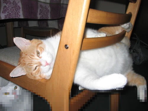 曼联青训小将打入制胜球,曼联青训小将打入制胜球的是谁