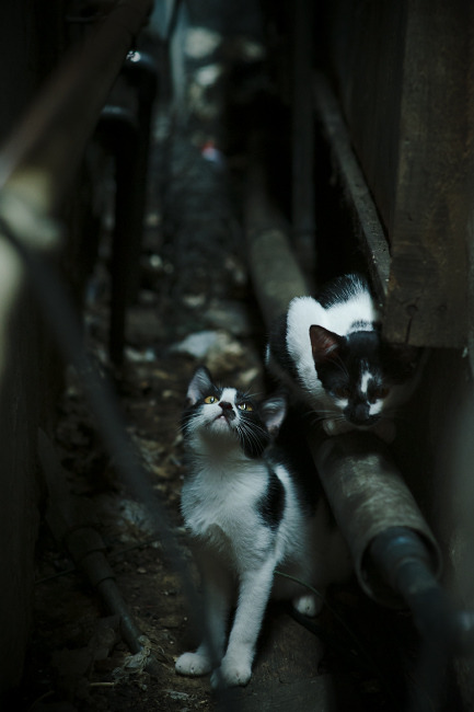 校园足球设置赛后技术讲评环节引导学生自主分析,校园足球课程教学指南