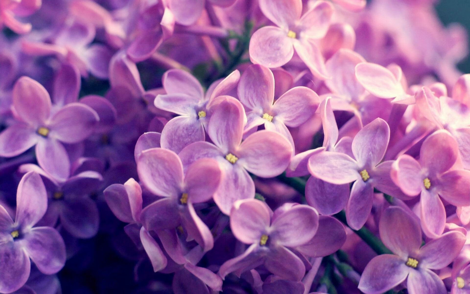 乐鱼（LEYU）体育-格鲁塞决赛状态火热引发热议，格鲁赛特图片