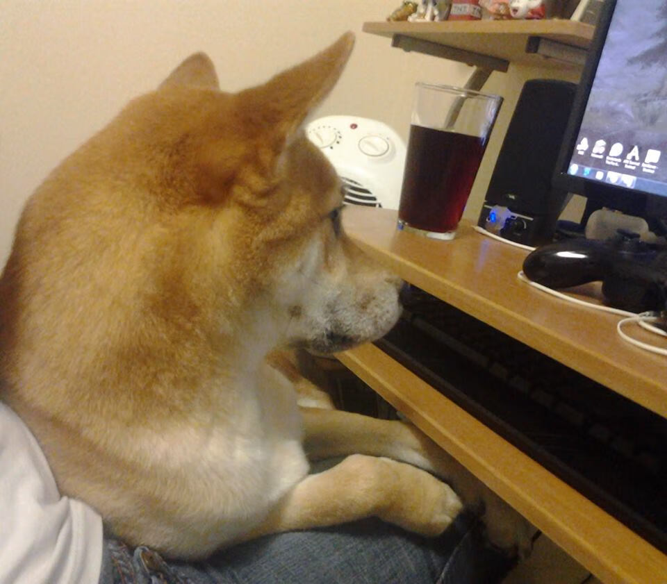 leyu乐鱼体育综合-莱昂·马尔尚用速度与耐力完美结合，豪尔赫·莱昂马丁内斯