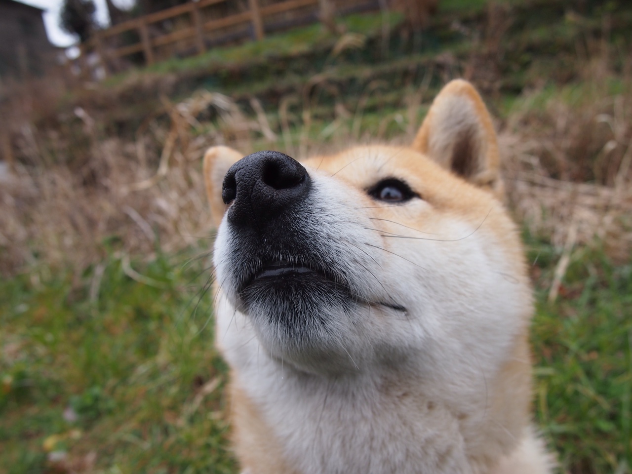 9人药厂新帅3-1获胜,滕哈格11打10难逃平局命运,滕哈格执教水平